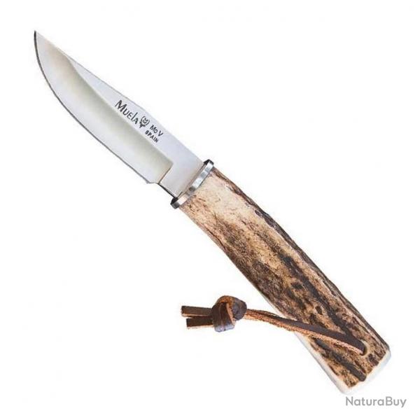 Poignard "Bowie" cerf (lame 7,5 cm) [Muela]