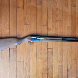 Fusil Bretton & Gaucher
