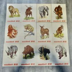 PUB PHARMACIE ANIMAUX N1