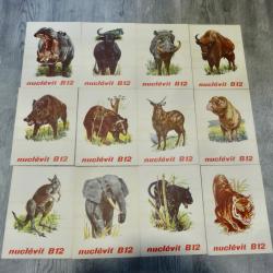 PUB PHARMACIE ANIMAUX N 2