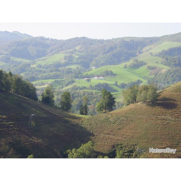 location postes de tir au vol  la palombe