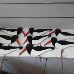 Lot de 8 appelants pie de mer "Huitrier pie" fait main en bois