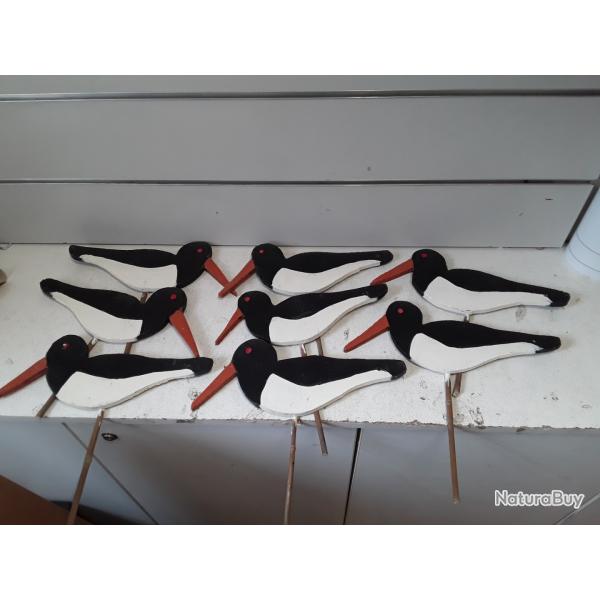 Lot de 8 appelants pie de mer "Huitrier pie" fait main en bois