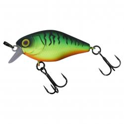Chubby 41 Mat Tiger