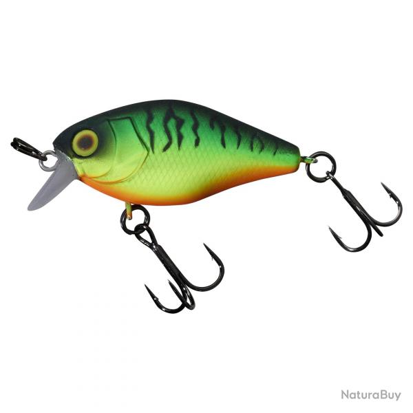 Chubby 41 Mat Tiger