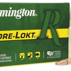 Lot de 2 boites de balles Remington Core-Lokt 30-06 180 gr