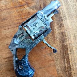 Revolver bullbog puppy