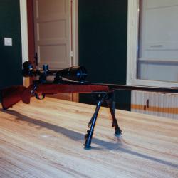 Carabine CZ 550