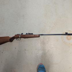 Carabine 22LR mono coup + MDS