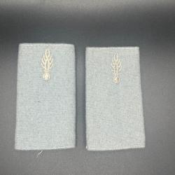 (65.001) Paire de fourreaux d'épaule du Corps de Soutien Technique et Administratif