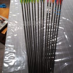 Lot de  13 fleches fibre  spine 500