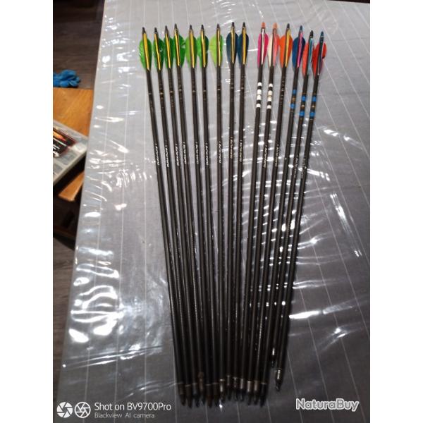 Lot de  13 fleches fibre  spine 500