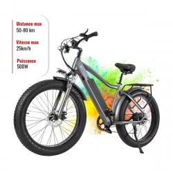 Vélo Électrique Adulte 26" Fat Bike 48V 17Ah, 7 Vitesses, 60km d'Autonomie - Promo