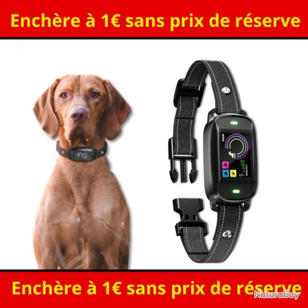Enchre  1 sans prix de rserve - Collier de dressage pour chien - Sans blessures - Anti aboiement