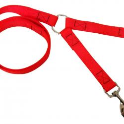 LAISSE POLYPROPYLENE CHIEN ORANGE 120CM + COUPLEUR