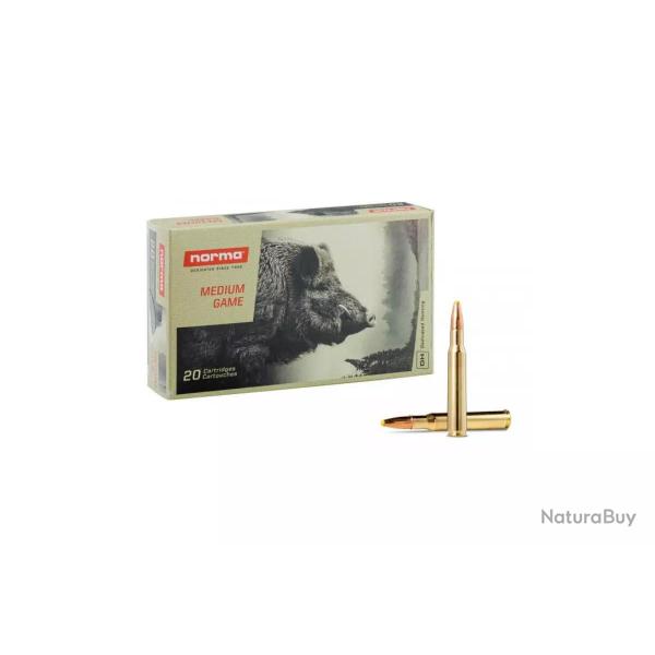 MUNITIONS NORMA 30-06 SPRG 180GR PPDC PLASTIC POINT X20