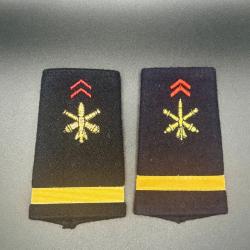(71.003) Paire de fourreau d'épaule de sous-lieutenant Régiment d'artillerie
