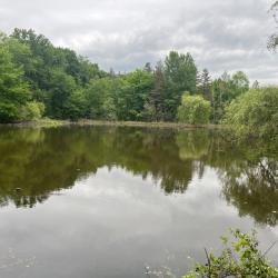 Location étang de pêche en Sologne