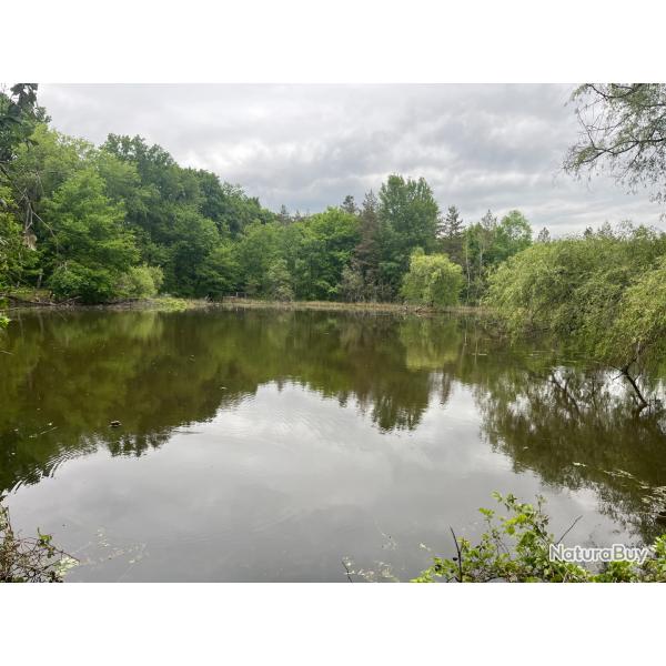 Location tang de pche en Sologne