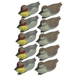 Pack 5 sarcelles mâles et 5 femelles