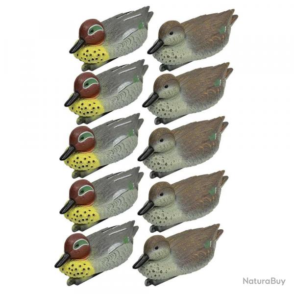 Pack 5 sarcelles mâles et 5 femelles