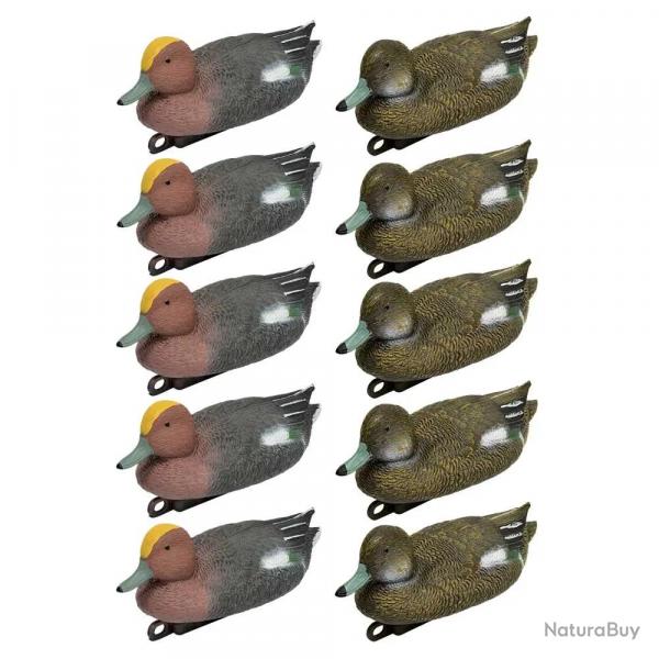 Pack 5 siffleurs mâles et 5 femelles