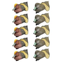 Pack 5 siffleurs mâles et 5 femelles moussés