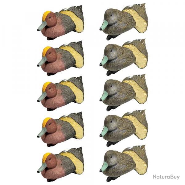 Pack 5 siffleurs mles et 5 femelles mousss