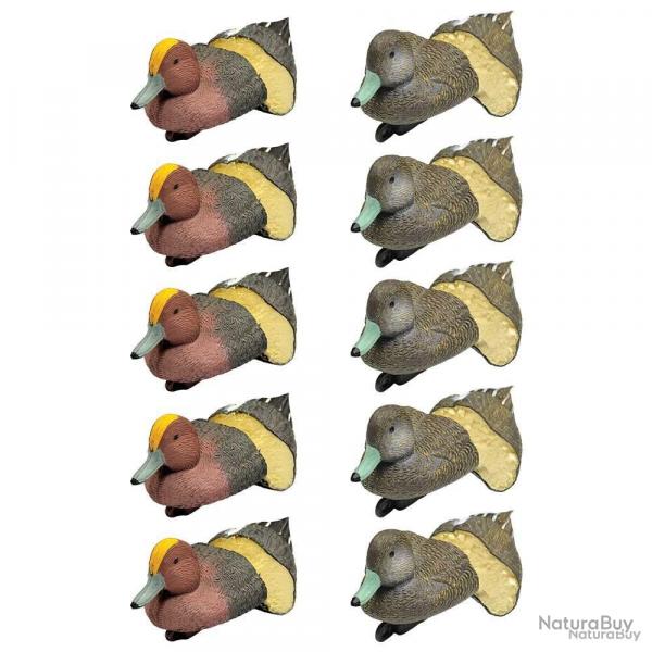 Pack 5 siffleurs mles et 5 femelles mousss
