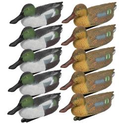 Pack 5 souchets mâles et 5 femelles