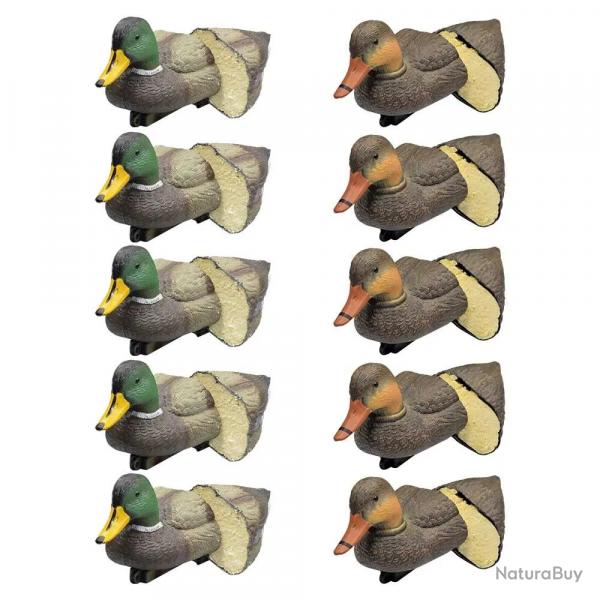 Pack 5 colverts mâles et 5 femelles moussés