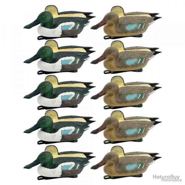 Pack 5 souchets mles et 5 femelles mousss