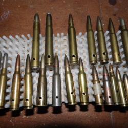 cartouches neutra armes longues