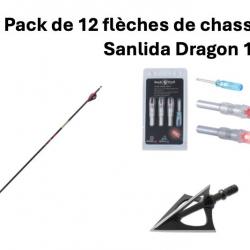12 flèches Sanlida Dragon 10 + encoches lumineuses + lames