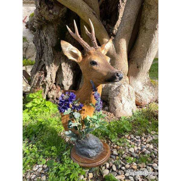 TaxidermisteCollection prive, brocard en pidestal