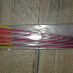 UN Lot de 6 flèches (traits) pour arbalète de 44cm en aluminium 16 pouces