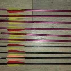 UN Lot de 10 flèches (traits) pour arbalète de 44cms en aluminium (16 pouces)