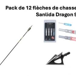 Pack de 12 flèches Sanlida Dragon 9 + encoches lumineuses + lames