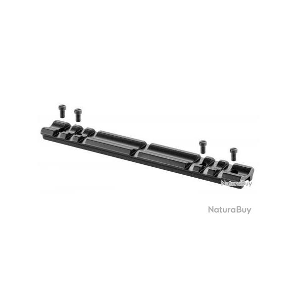 Embase fixe Recknagel prisme 21mm pour Verney Carron