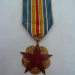 médaille des bléssés ww1