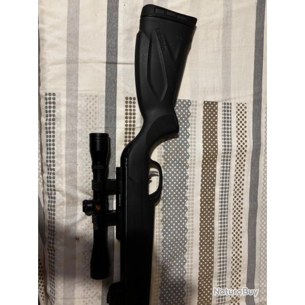 Carabine gamo
