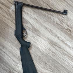 Carabine plomb
