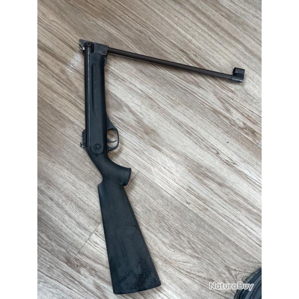 Carabine plomb
