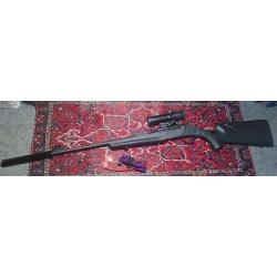 Carabine monocoup Rossi Montenegro 22lr