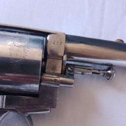 Revolver bulldog