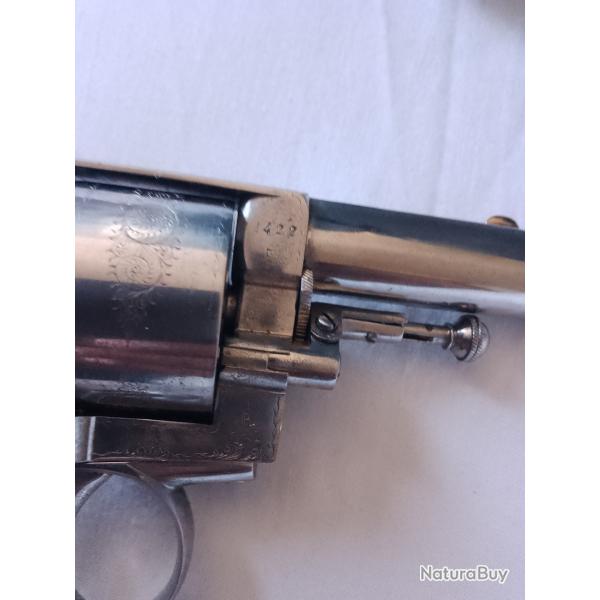 Revolver bulldog