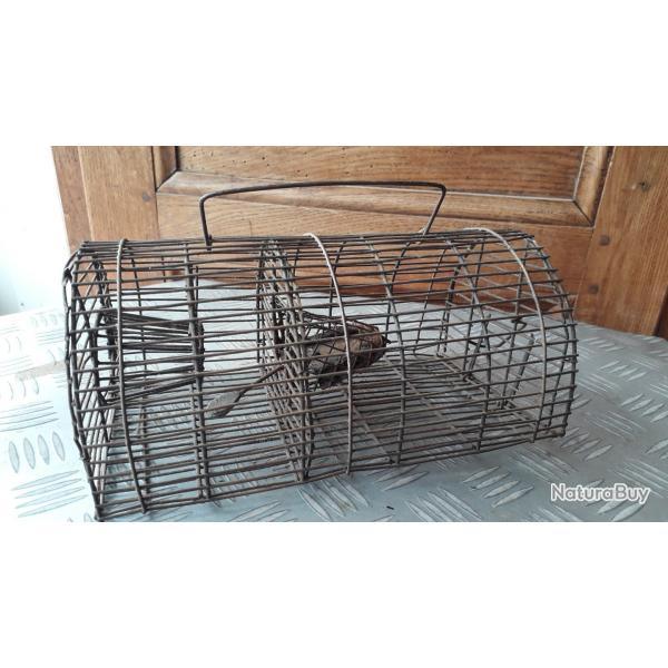 Ancienne Cage  Rongeurs No Kill Dcoration Collection Curiosit Vieux Ustensiles