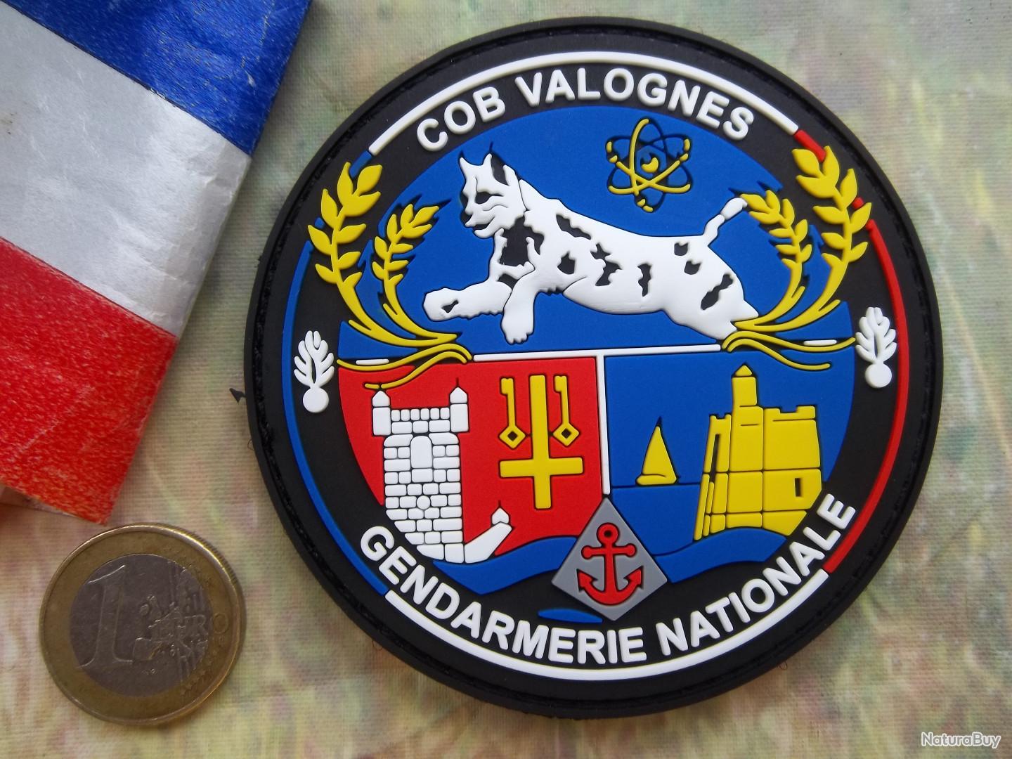 écusson Collection Militaire Moniteur Instruction Conduite Insigne Tissu Gendarmerie