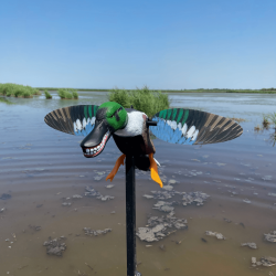 Canard souchet à ailes tournantes - MOJO® SPOONZILLA