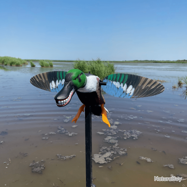 Canard souchet  ailes tournantes - MOJO SPOONZILLA